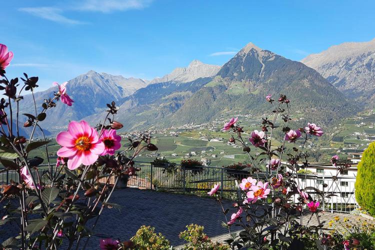 Ausblick von unserem Haus